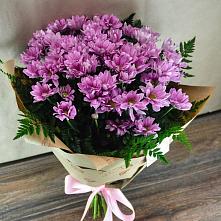 Букет цветов из:  Хризантемы #REPLACE_PRED# Конаково