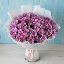 Букет цветов из:  Хризантемы в Конаково