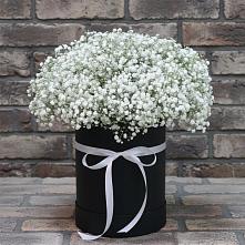 Цветочная композиция из Гипсофила в шляпной коробке #REPLACE_PRED# Конаково
