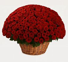 Премиум букет из: Розы в Конаково